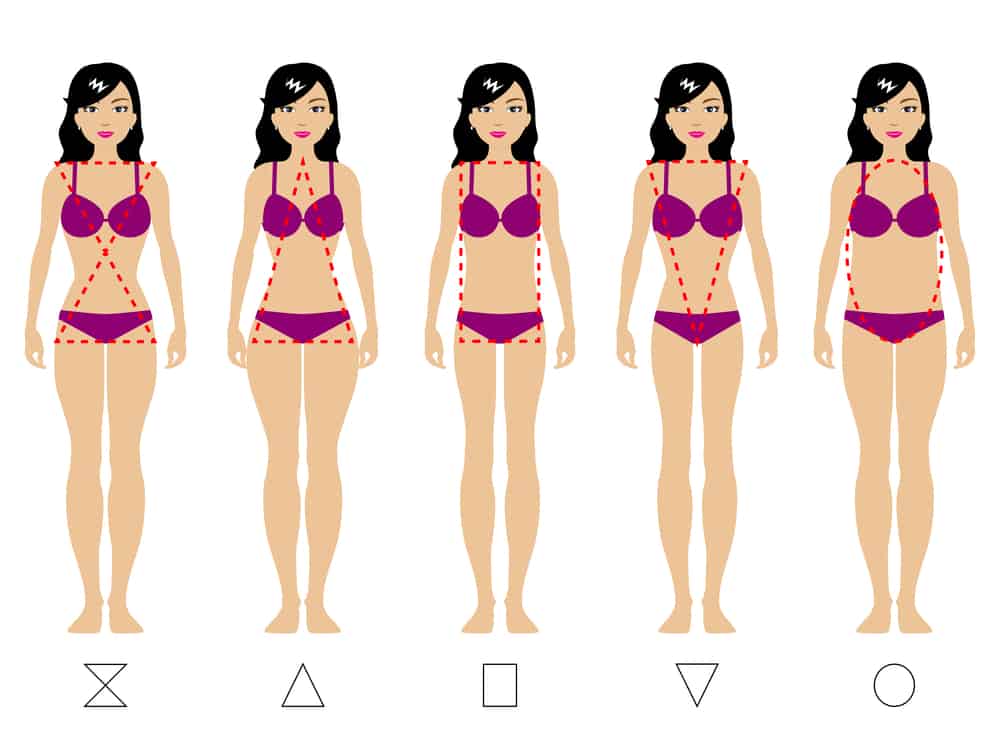 Body type illustrations